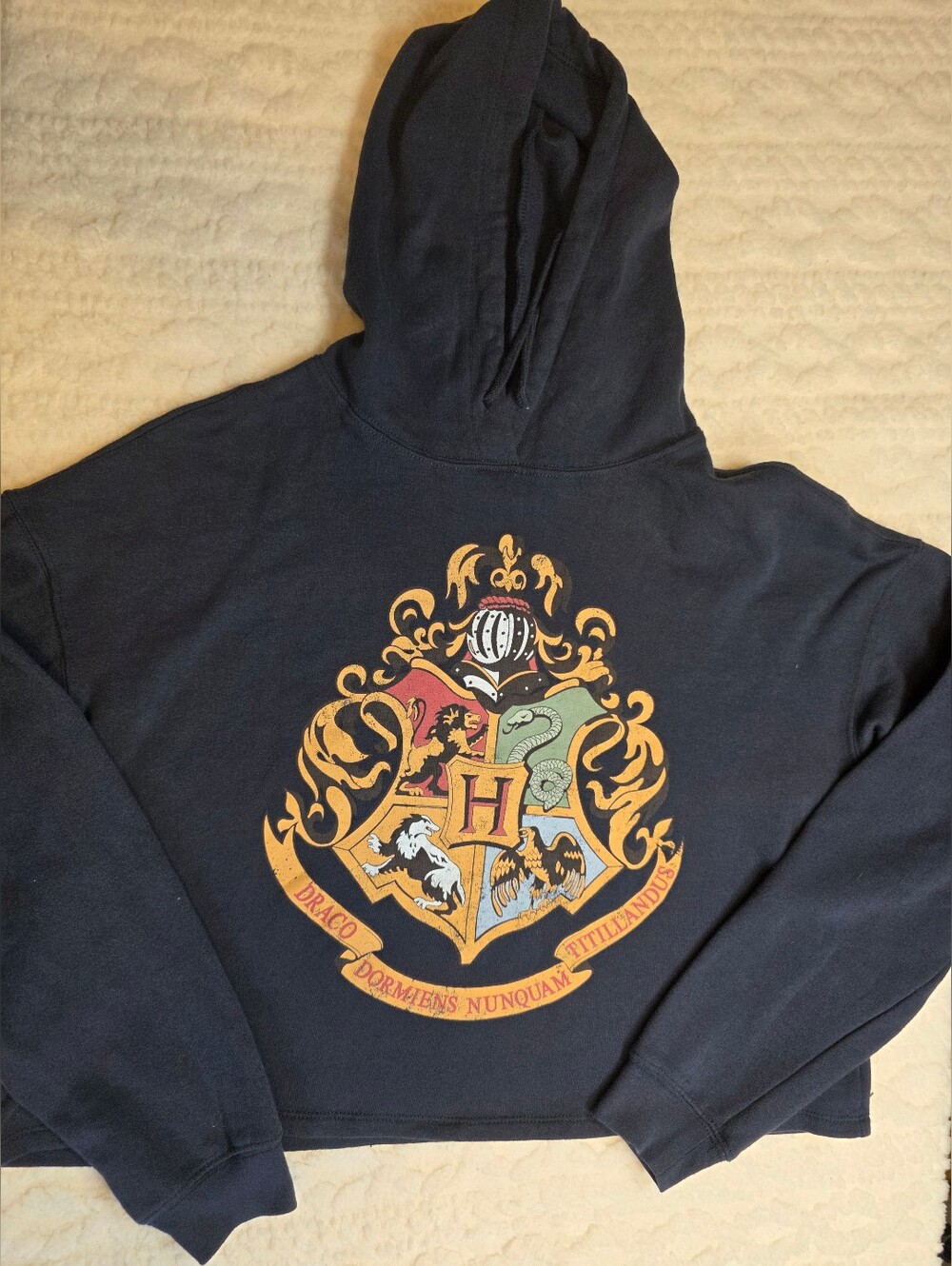 Harry Potter Hogwarts Crest Black Cropped Hoodie Size L